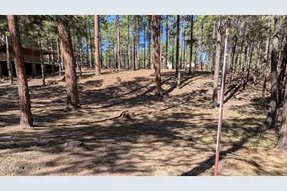 2425 Tall Trees Loop, Forest Lakes, AZ 85931 - Photo 41