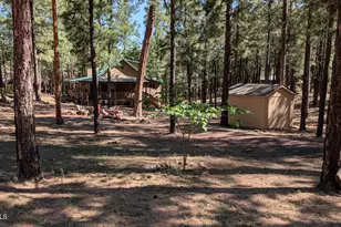 2425 Tall Trees Loop, Forest Lakes, AZ 85931 - Photo 37