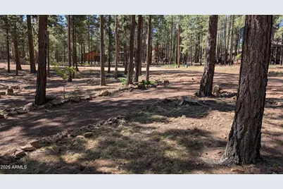 2425 Tall Trees Loop, Forest Lakes, AZ 85931 - Photo 41