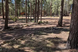 2425 Tall Trees Loop, Forest Lakes, AZ 85931 - Photo 41