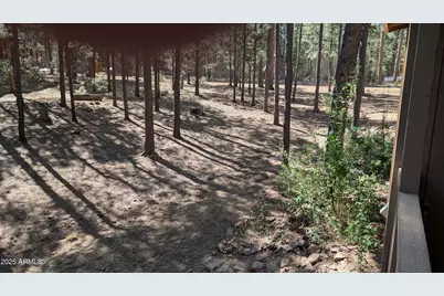 2425 Tall Trees Loop, Forest Lakes, AZ 85931 - Photo 31