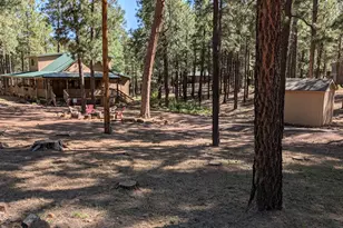 2425 Tall Trees Loop, Forest Lakes, AZ 85931 - Photo 39
