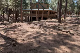 2425 Tall Trees Loop, Forest Lakes, AZ 85931 - Photo 11
