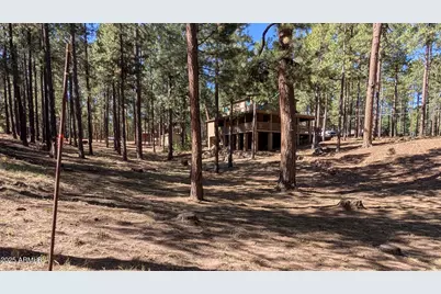 2425 Tall Trees Loop, Forest Lakes, AZ 85931 - Photo 41