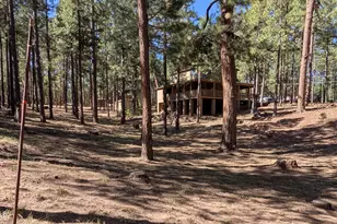2425 Tall Trees Loop, Forest Lakes, AZ 85931 - Photo 41