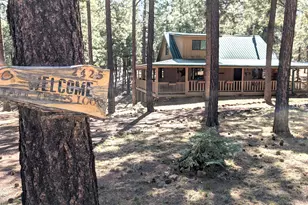2425 Tall Trees Loop, Forest Lakes, AZ 85931 - Photo 7