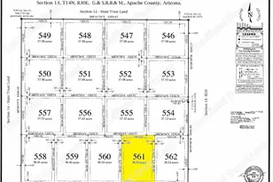 72 County Rd N6596 --, Saint Johns, AZ 85936 - Photo 1