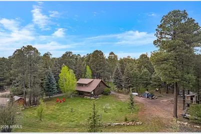 1289 Merzville Road, Forest Lakes, AZ 85931 - Photo 57