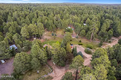 1289 Merzville Road, Forest Lakes, AZ 85931 - Photo 53