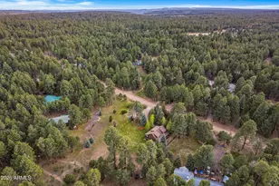 1289 Merzville Rd, Forest Lakes, AZ 85931 - Photo 57