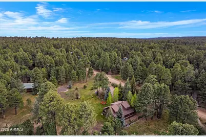 1289 Merzville Road, Forest Lakes, AZ 85931 - Photo 59