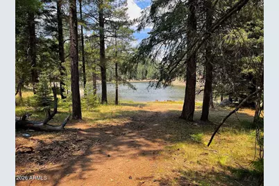 1289 Merzville Road, Forest Lakes, AZ 85931 - Photo 67