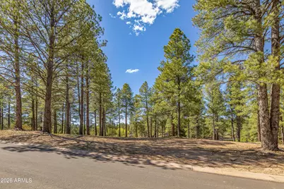 3655 S Woodland Hills Lot #366 Drive, Flagstaff, AZ 86005 - Photo 5