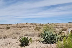 3914 N Santa Cruz Dr, Florence, AZ 85132 - Photo 105