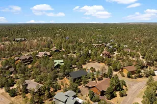 2235 Par Pl, Overgaard, AZ 85933 - Photo 39