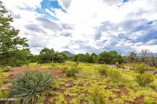 2667 E Overlook Dr, Williams, AZ 86046 - Photo 61