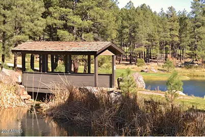 4384 Griffiths Spring, Flagstaff, AZ 86005 - Photo 45