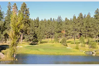 4384 Griffiths Spring, Flagstaff, AZ 86005 - Photo 47
