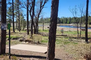 2700 S Woodland Hills Ln, Pinetop, AZ 85935 - Photo 31