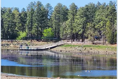 2700 S Woodland Hills Lane, Pinetop, AZ 85935 - Photo 33