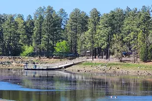 2700 S Woodland Hills Ln, Pinetop, AZ 85935 - Photo 33