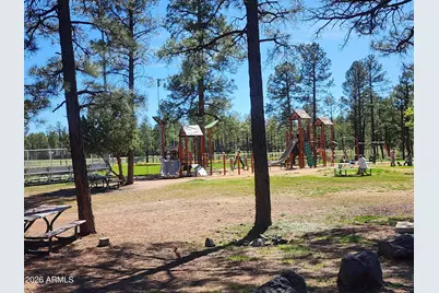 2700 S Woodland Hills Lane, Pinetop, AZ 85935 - Photo 35