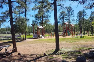 2700 S Woodland Hills Ln, Pinetop, AZ 85935 - Photo 35