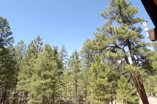 4269 Juniper Dr, Happy Jack, AZ 86024 - Photo 25