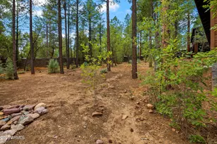 921 E Lauren Ct, Show Low, AZ 85901 - Photo 23