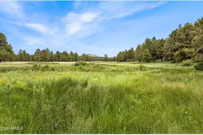 15 N 1330 -- #35A, Greer, AZ 85927 - Photo 19