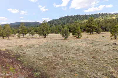 15 N 1330 -- #35A, Greer, AZ 85927 - Photo 9