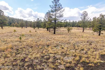 15 N 1330 -- #35A, Greer, AZ 85927 - Photo 11