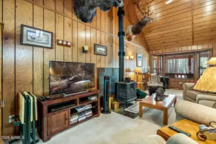 1947 Ferret Cir, Forest Lakes, AZ 85931 - Photo 11