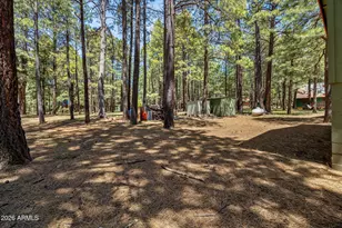 1947 Ferret Cir, Forest Lakes, AZ 85931 - Photo 31
