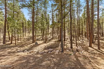 1113 Redwall Way, Williams, AZ 86046 - Photo 9