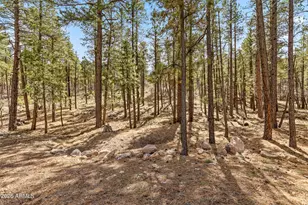 1113 Redwall Way, Williams, AZ 86046 - Photo 9