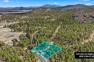 1113 Redwall Way, Williams, AZ 86046 - Photo 5