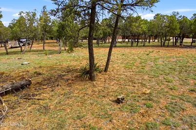 2824 Constellation Lane #18-12&13, Overgaard, AZ 85933 - Photo 9