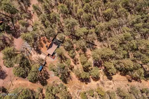1204 Flores Dr, Show Low, AZ 85901 - Photo 37