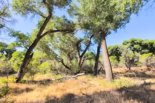 1165 N Willard Rd, Cottonwood, AZ 86326 - Photo 95