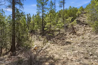 3318 Black Canyon Road, Heber, AZ 85928 - Photo 65
