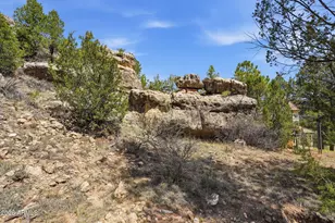 3318 Black Canyon Rd, Heber, AZ 85928 - Photo 67