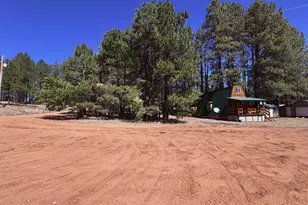 1053 Pond Cir, Forest Lakes, AZ 85931 - Photo 45