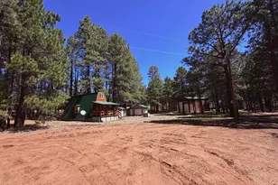 1053 Pond Cir, Forest Lakes, AZ 85931 - Photo 43