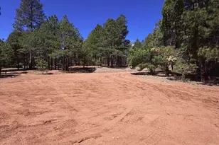 1053 Pond Cir, Forest Lakes, AZ 85931 - Photo 47