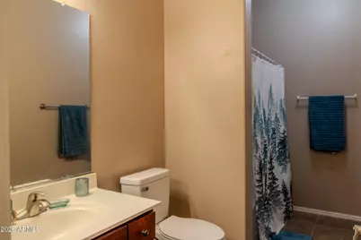 1294 W Green Tree Drive, San Tan Valley, AZ 85143 - Photo 43