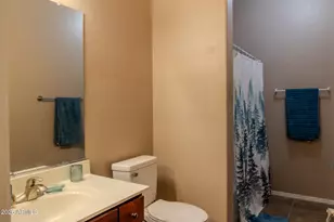 1294 W Green Tree Dr, San Tan Valley, AZ 85143 - Photo 43