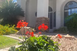 1531 W Sherri Dr, Gilbert, AZ 85233 - Photo 19