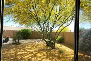 1513 W Bramble Berry Ln, Phoenix, AZ 85085 - Photo 21