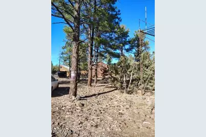 3 County Road N3302 Road, Vernon, AZ 85940 - Photo 5